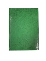 Arbeitsbuch A5 96 Blatt grün