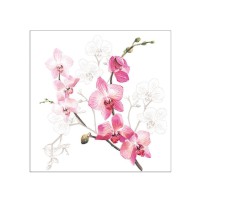 Serviette "Orchid" 33 x 33 cm 20er Packung