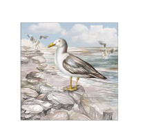 Serviette "Seagull on the Shore" 33 x 33 cm 20er Packung