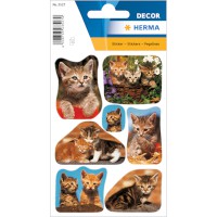 Sticker DECOR "Katzenfotos"