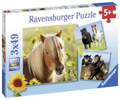 Puzzle 3 x 49 Teile "Liebe Pferde"